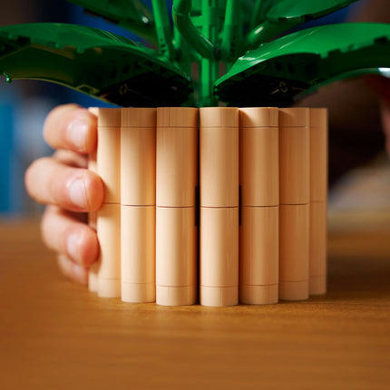 LEGO Botanical Collection (11504)