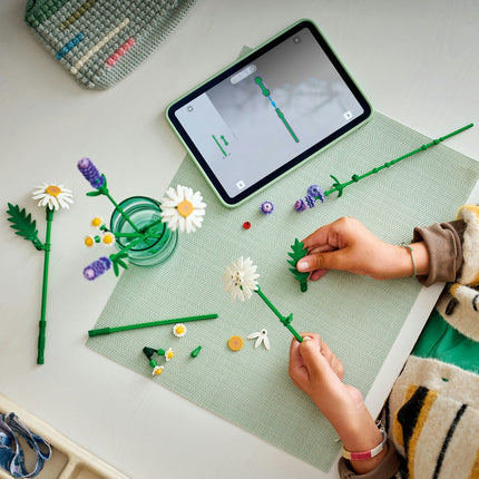 LEGO Botanical Collection (11508)