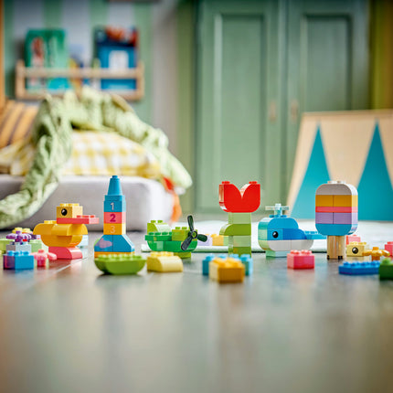 LEGO DUPLO (10479)