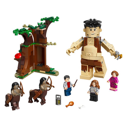 LEGO® Harry Potter™ - A Tiltott Rengeteg: Összecsapás Umbridge (75967)