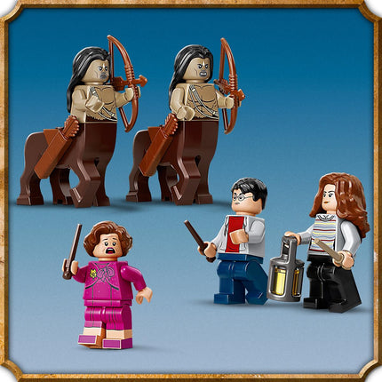 LEGO® Harry Potter™ - A Tiltott Rengeteg: Összecsapás Umbridge (75967)