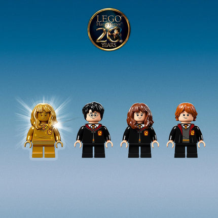 LEGO® Harry Potter™ - Roxfort™: Találkozás Bolyhoskával (76387)