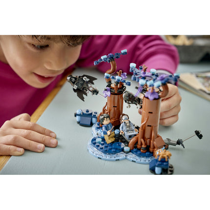 LEGO Harry Potter (76475)