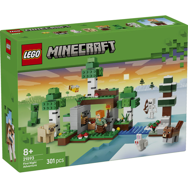 LEGO Minecraft (21593)