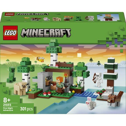 LEGO Minecraft (21593)