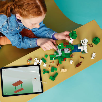 LEGO Minecraft (21593)