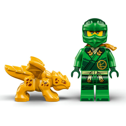 LEGO NINJAGO (71829)