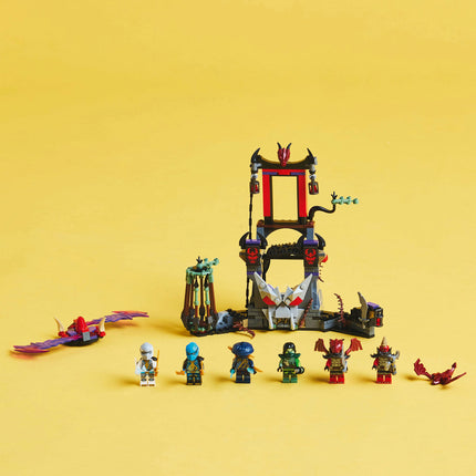 LEGO NINJAGO (71841)