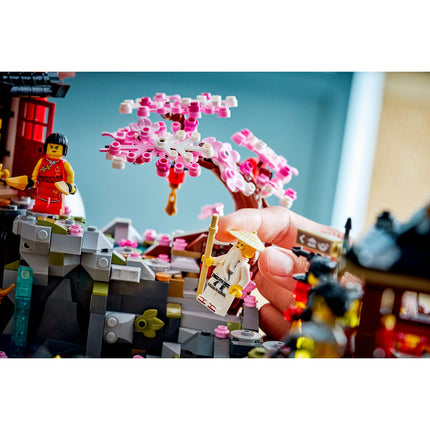 LEGO NINJAGO (71861)