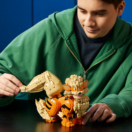 LEGO Pokémon (72160)