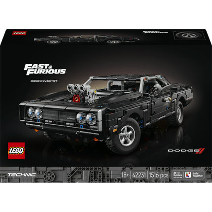 LEGO Technic (42231)